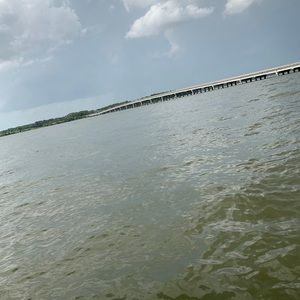 Meet your Posher, Jack